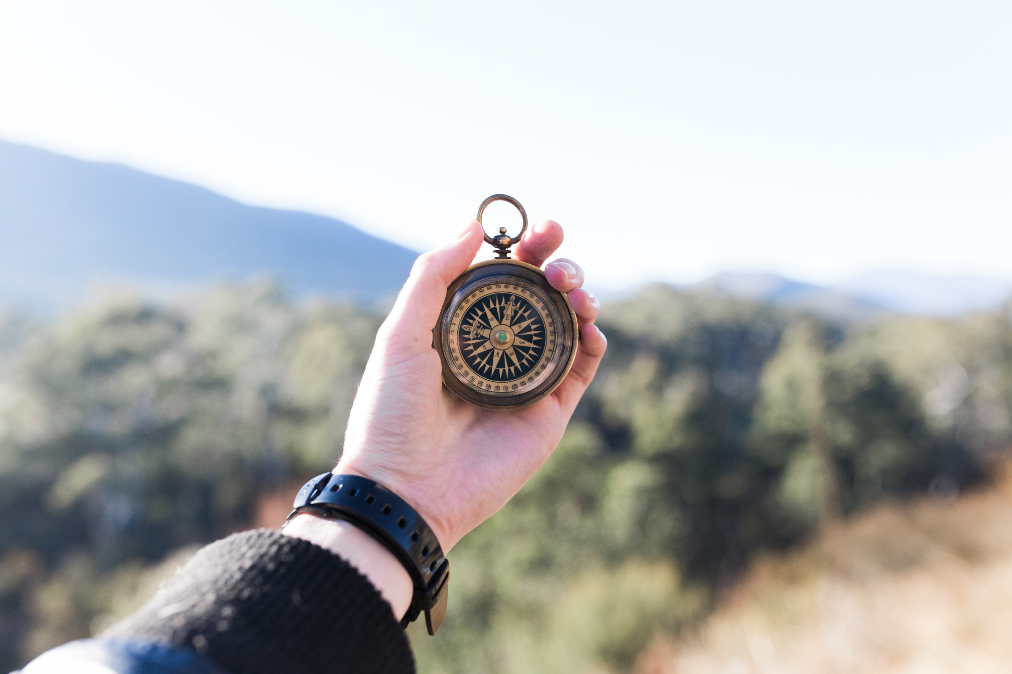 Hand with compass